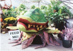audrey2
