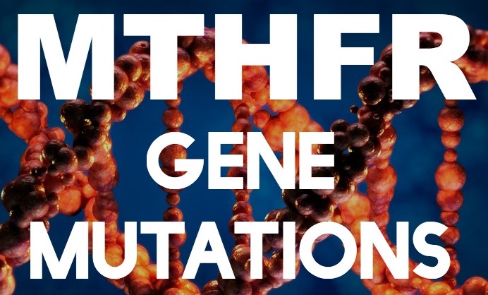 mthfr-mutation